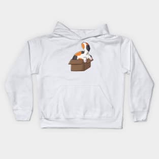 Funny And Cute Calico Cat In Box Kids Hoodie